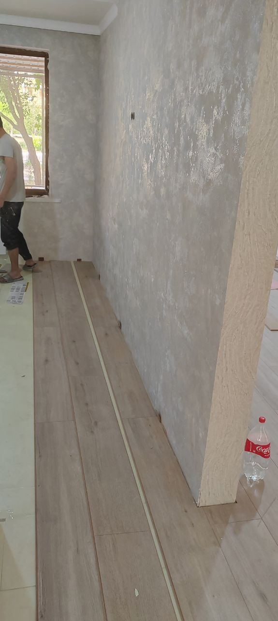 Hol apartament renovat
